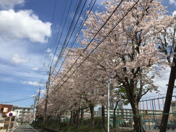 f0130894_21174428.jpg