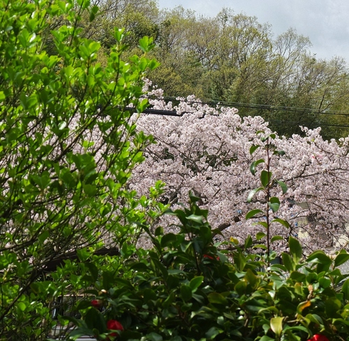 b0212396_12105220.jpg