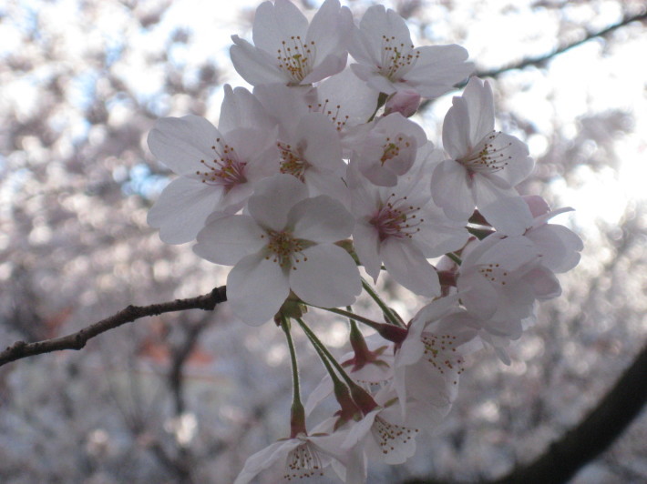 f0201297_22093236.jpg