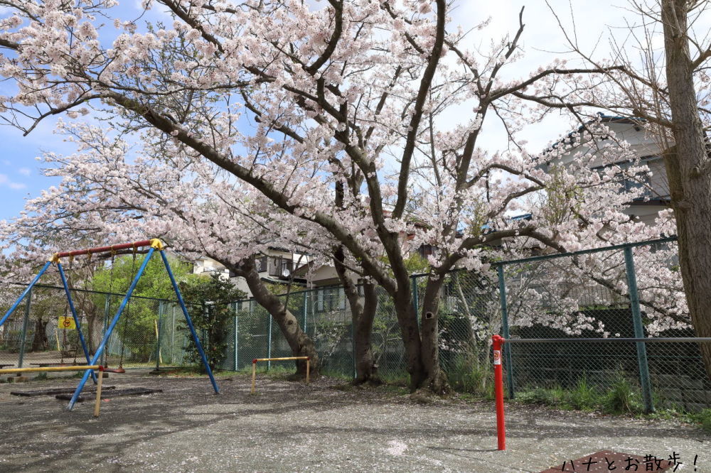 b0275998_11383483.jpg