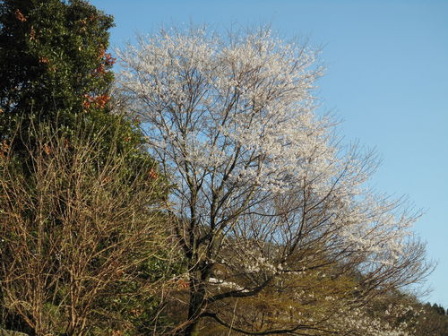 c0108198_17214543.jpg