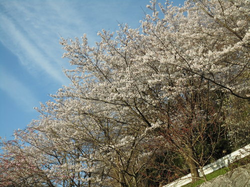c0108198_17222337.jpg