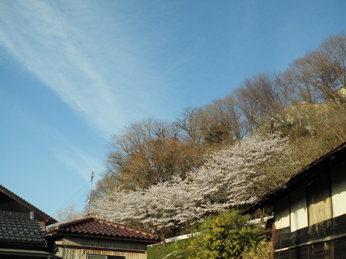 c0108198_1722696.jpg