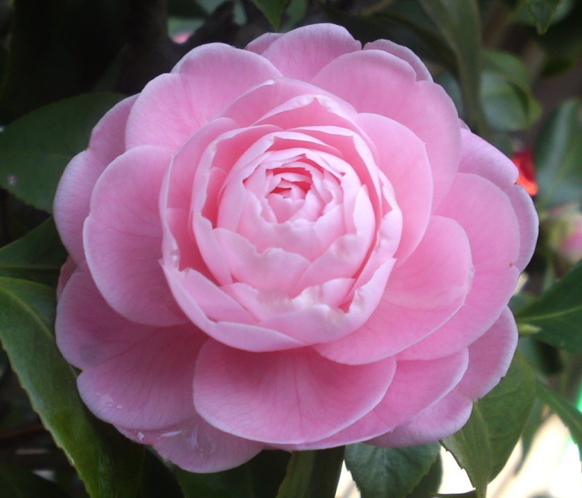 a0031000_00482979.jpg