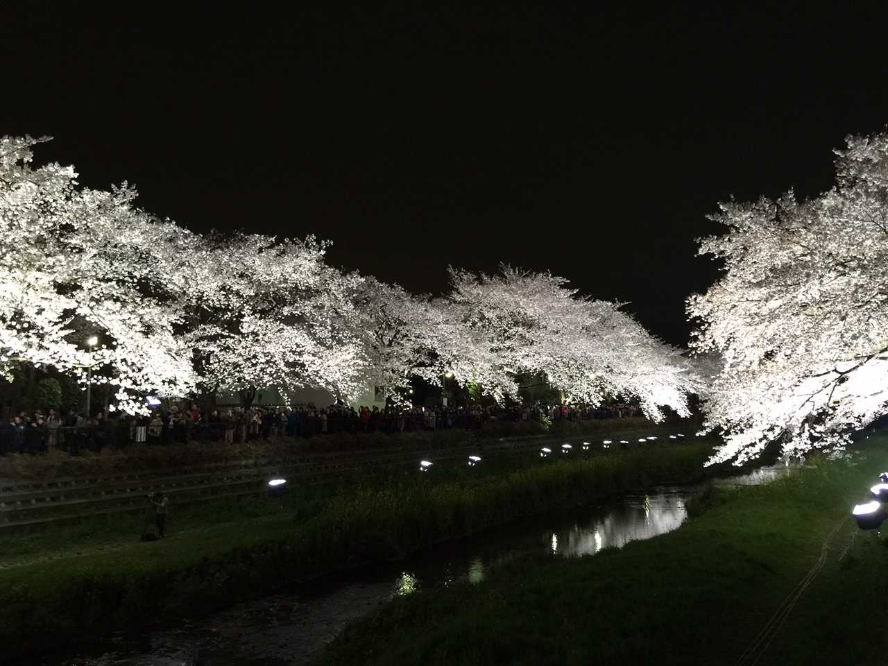 a0302801_9405957.jpg