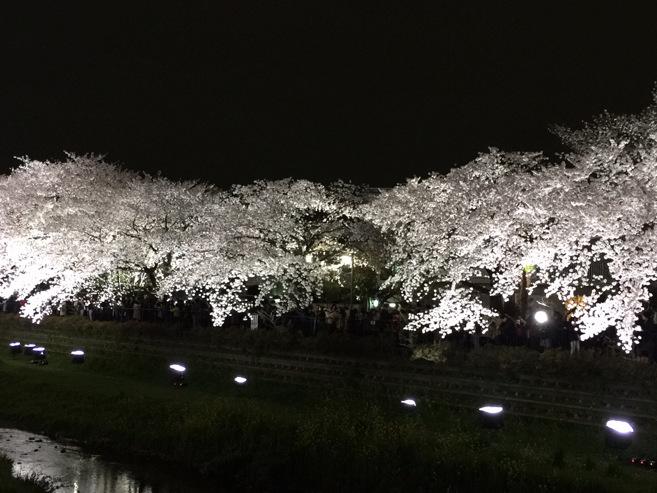 a0302801_9411742.jpg