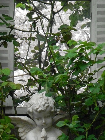 c0152002_18575441.jpg