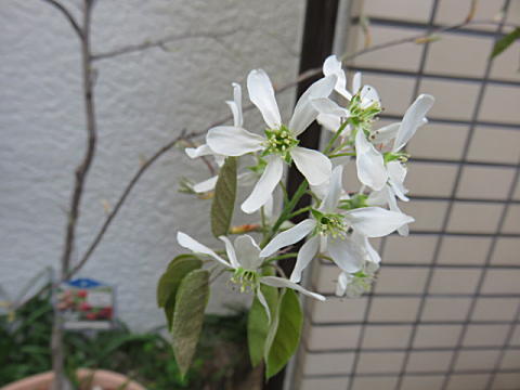 d0046702_21202195.jpg
