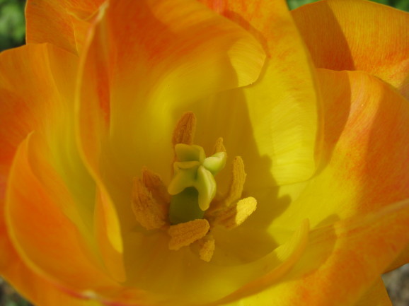 c0345705_14405676.jpg