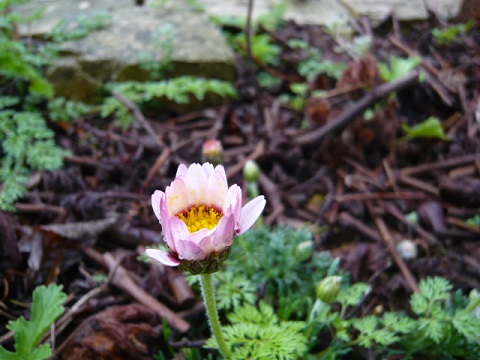 c0112206_2223519.jpg