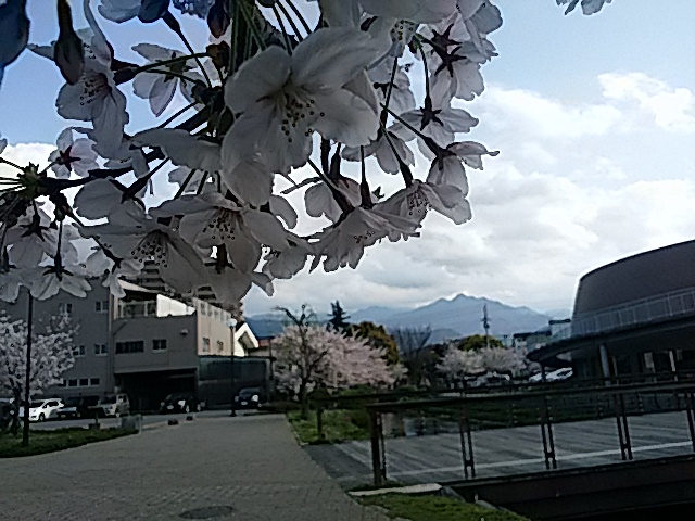 f0231709_21424368.jpg