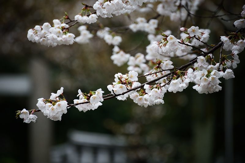 f0032011_18162786.jpg