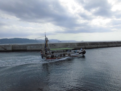 a0019212_00061374.jpeg