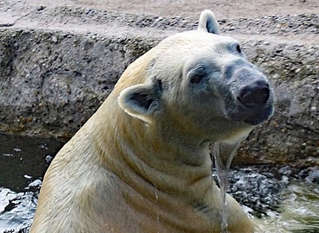 a0151913_23581060.jpg