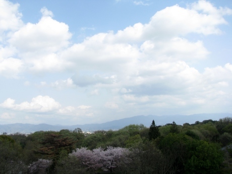 a0332314_10260396.jpg