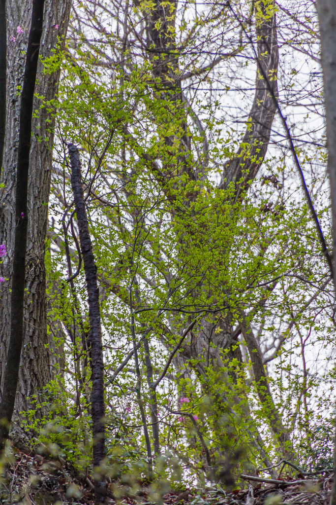 b0010915_21182573.jpg