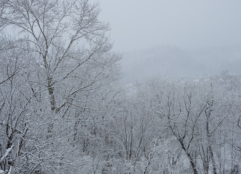 c0082715_20215344.jpg