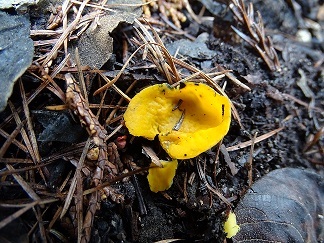 f0360815_14272955.jpg