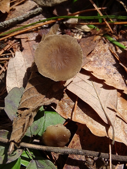 f0360815_14273011.jpg