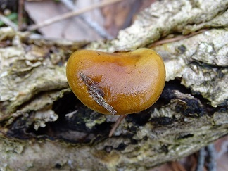 f0360815_14273071.jpg
