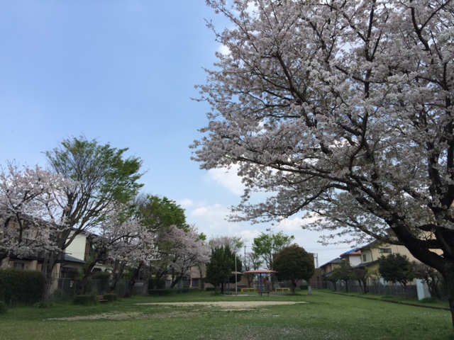 f0031420_12321934.jpg