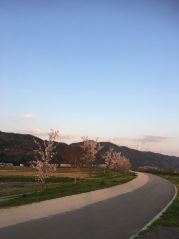 c0114121_2350486.jpg