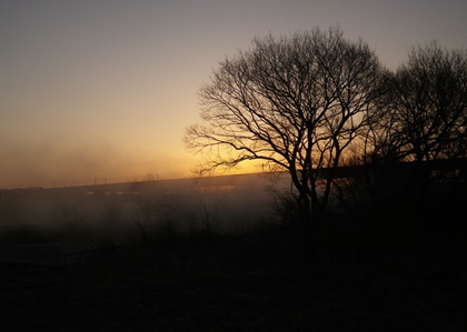 b0312424_6223250.jpg
