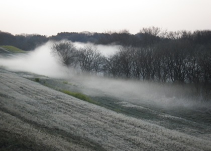 b0312424_623742.jpg
