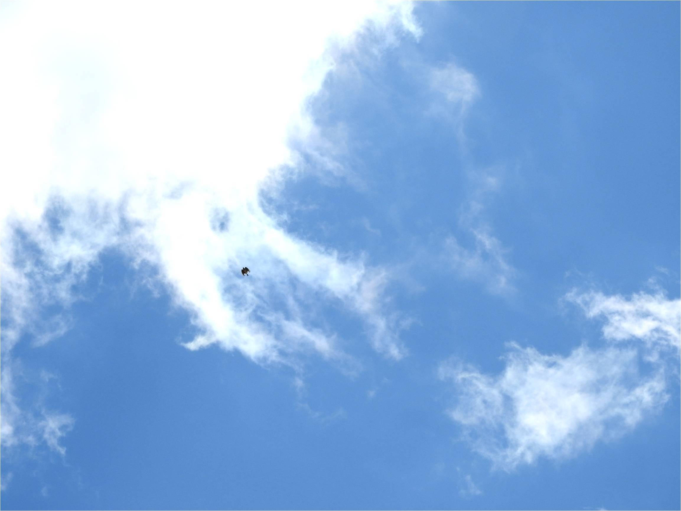 b0174425_19065784.jpg