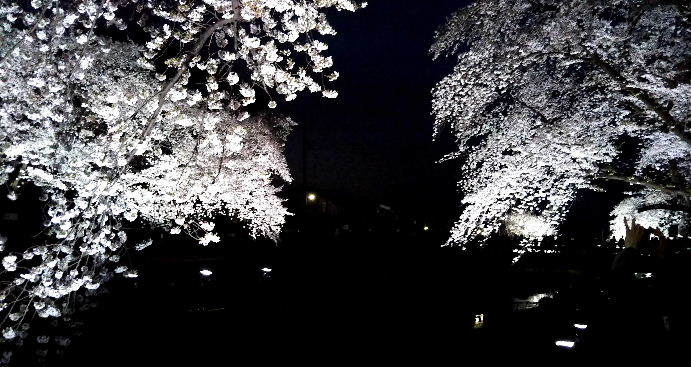 a0108328_21215306.jpg