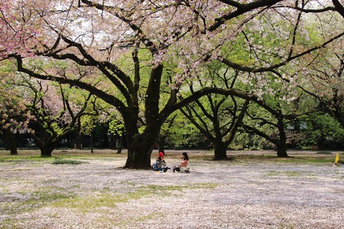 b0162728_21563857.jpg