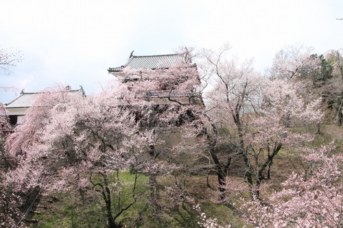 b0162728_2159519.jpg