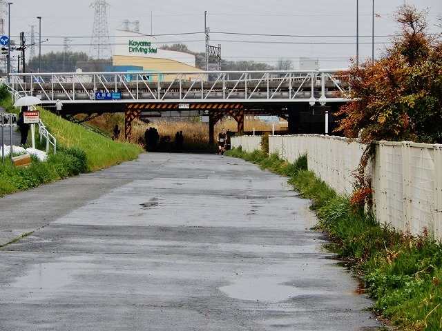 b0166128_10065290.jpg