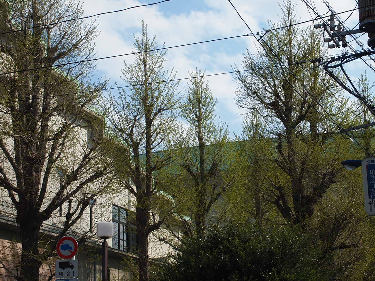 a0214329_2046970.jpg