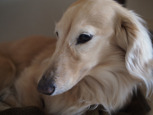 c0117831_17161010.jpg