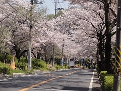 c0147935_21432664.jpg