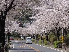 c0147935_21433425.jpg
