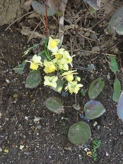 c0147935_22040469.jpg