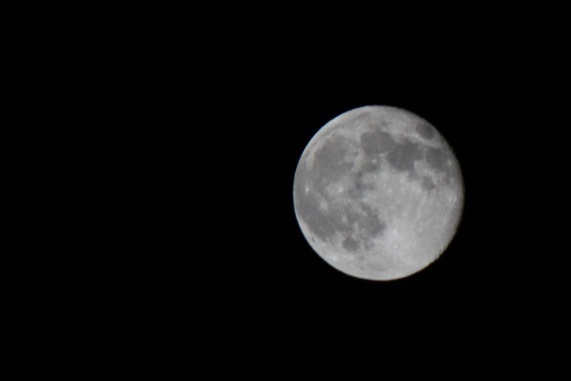 b0184636_205891.jpg