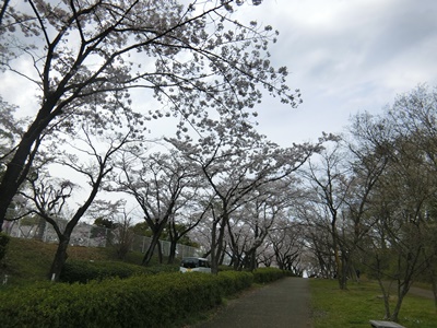 b0120541_0403390.jpg