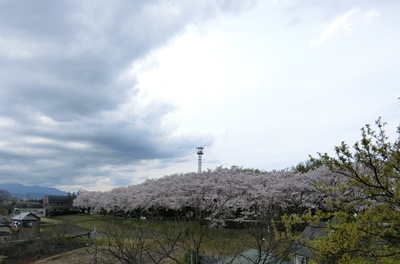 b0120541_0404189.jpg