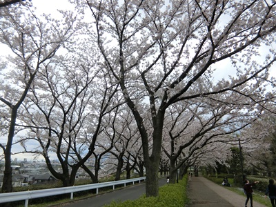 b0120541_0404866.jpg