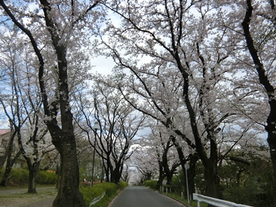 b0120541_0412385.jpg