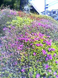 e0150843_23444930.jpg
