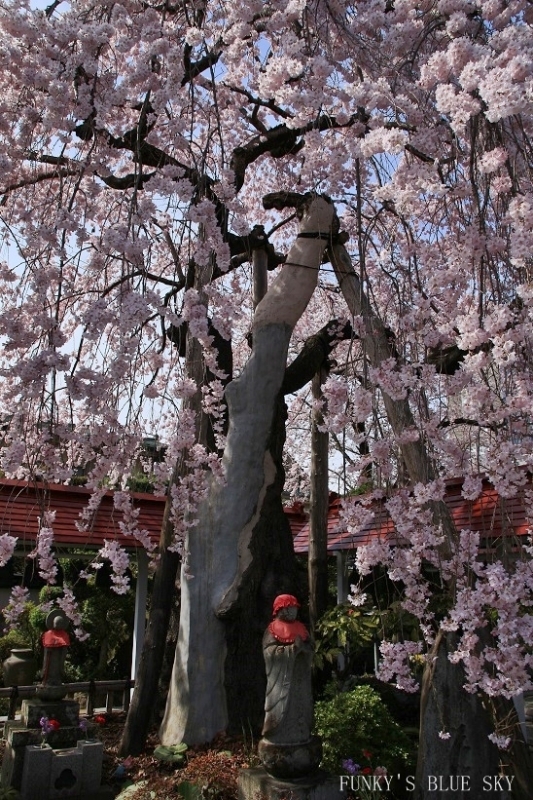 c0145250_09413098.jpg