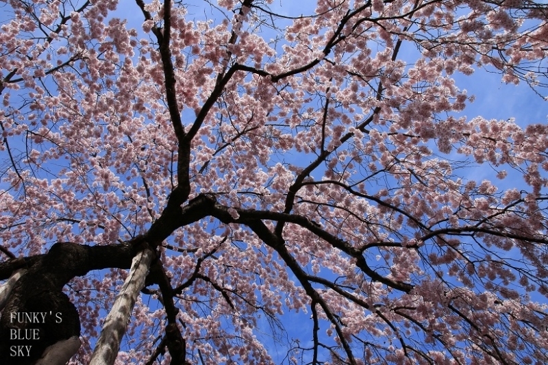 c0145250_09413405.jpg