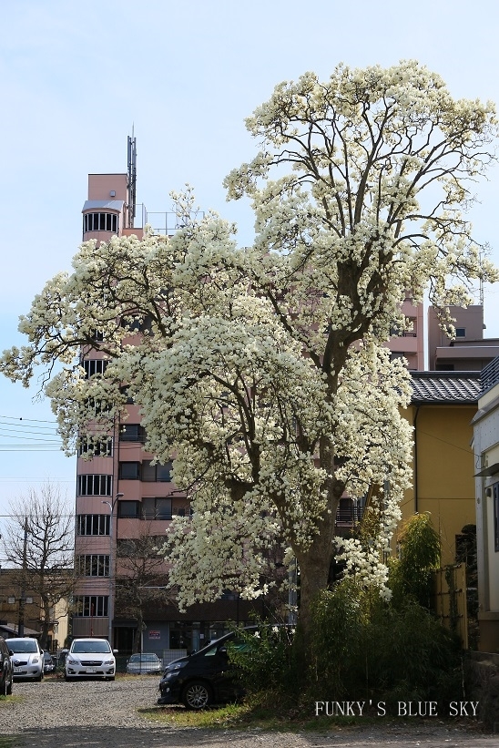 c0145250_09414622.jpg