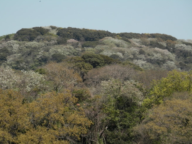 e0288951_14104874.jpg