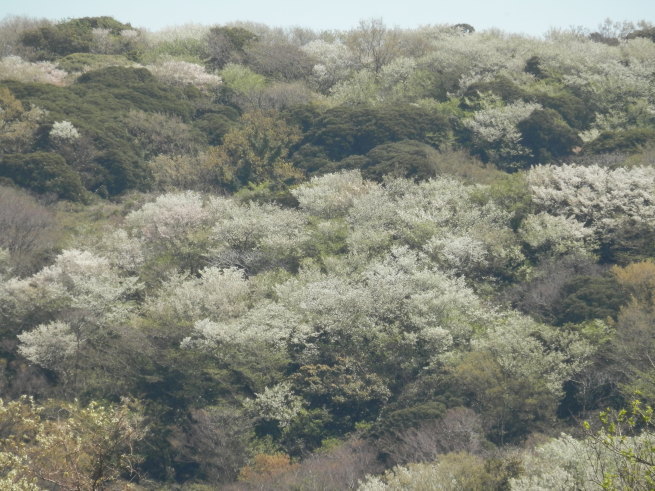 e0288951_14551505.jpg