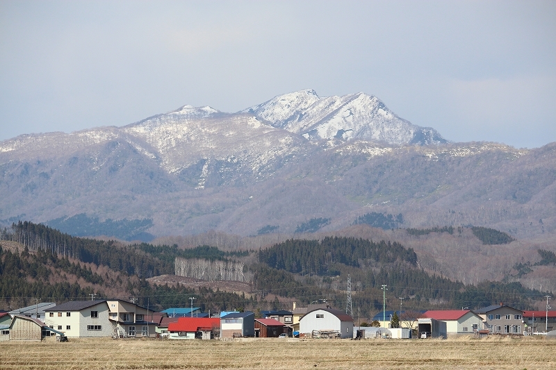 b0250154_20565418.jpg